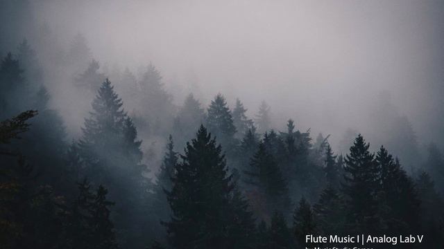 Relaxing Flute I | Arturia | Analog Lab | Copyright Free | Music Studio Garage смотреть онлайн