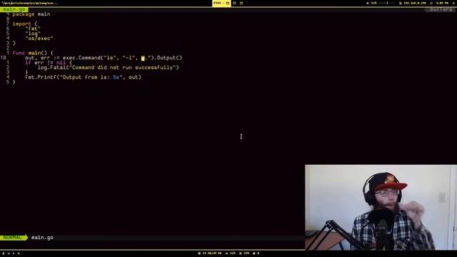 How to run other system commands from your Golang program смотреть онлайн
