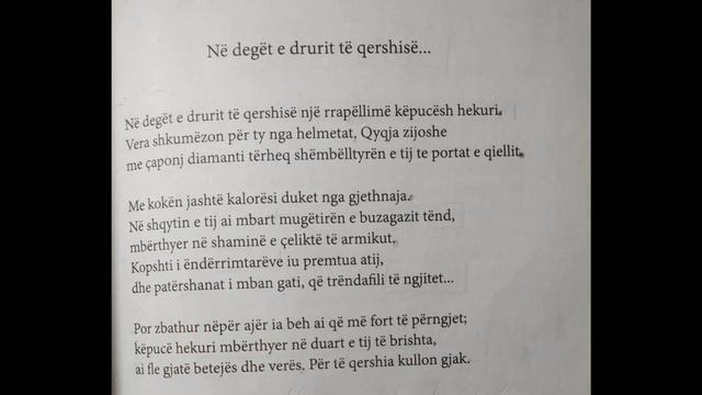 Paul Celan Poezi te zgjedhura Ne deget e drurit te qershise, Albanian Audiobooks смотреть онлайн