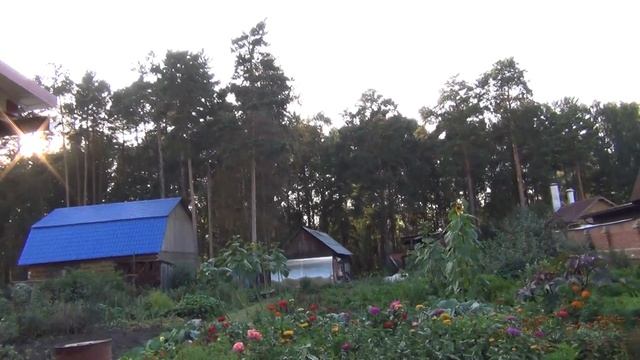 ЖИВУТ ЖЕ ЛЮДИ! (Секреты счастья Светланы Ермаковой) смотреть онлайн