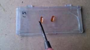 Подкрылки майского жука (Эпс Гребенников)