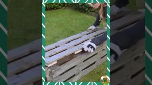 Высокая грядка из поддонов