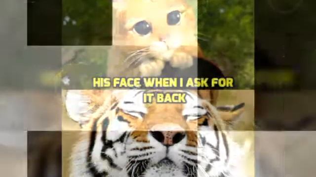 Joke of the day 5 смотреть онлайн