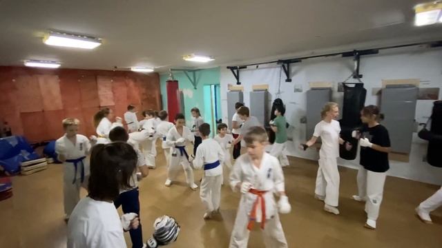 Тренировка 03 октября 2022 года. Киокусинкай каратэ в Климовске на Западной 12. смотреть онлайн