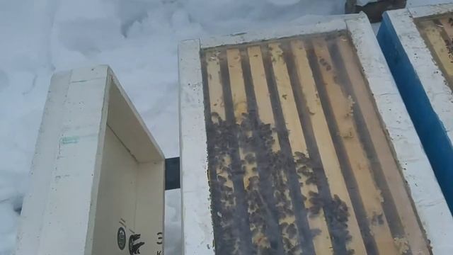 Пеноулик зима на улице и в помещении. смотреть онлайн