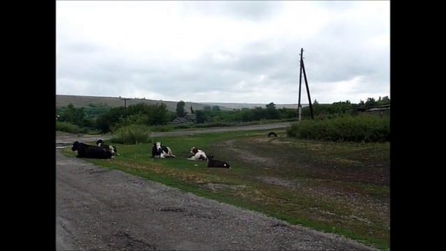 Володарка. Алтайский край, Топчихинский район. смотреть онлайн