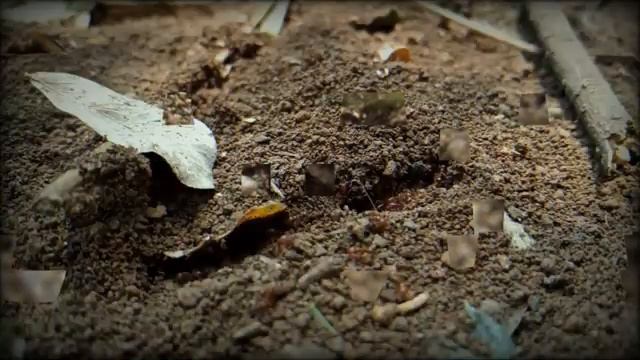 Эзотерическое целительство болезни души