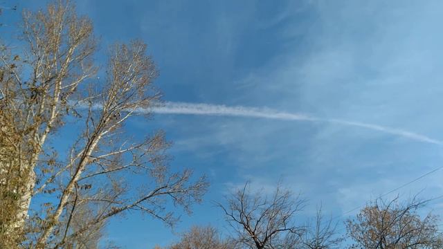 Химтрейлы максимальное число за последний год по сравнению с прошлыми смотреть онлайн