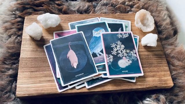 Animal magic oracle cards - flip through смотреть онлайн