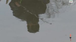 Поиск уклейки, ловля на короткий мах.