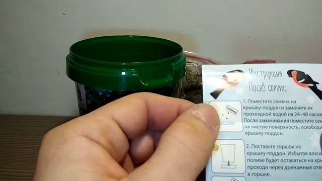 Домашняя ёлка смотреть онлайн