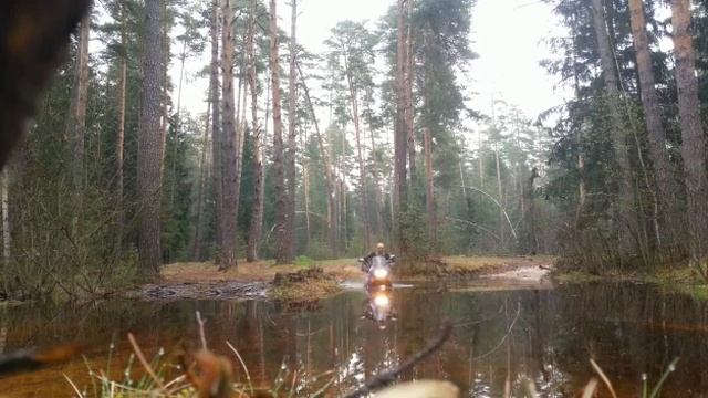 Transalp 650 Crosses Pool