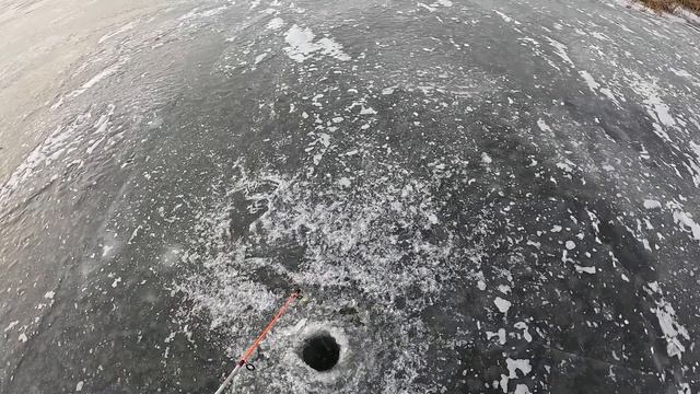 Зимняя рыбалка 9 декабря 2023! и поездка в лес за дровами с пилой " WORX". смотреть онлайн
