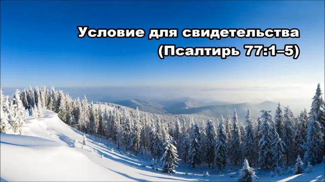 Тихое время с Живой Жизнью: Псалтирь 77:1–8 (21022018) смотреть онлайн