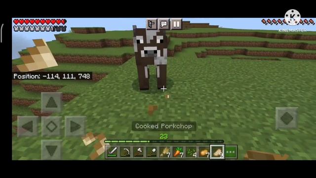 Finally Animals In My Farm Minecraft Pe 1.18.31 || Survival Gameplay #6 ||TUSHAR GAMER смотреть онлайн
