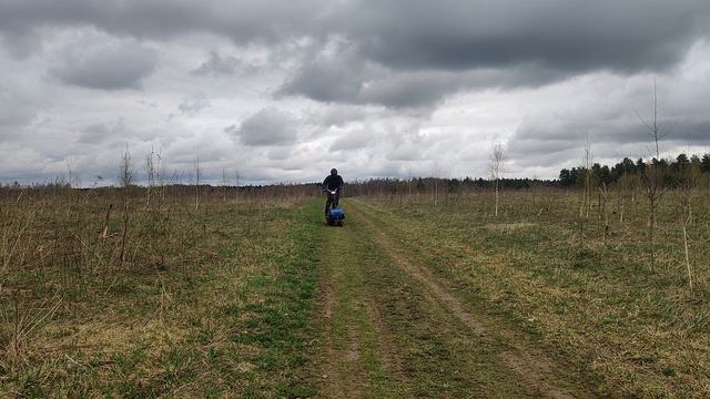 Draxter лето 2024