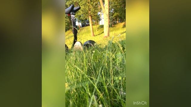 Segwayninebot Mini, Segwayninebot Mini Pro, прокат Segway , электротранспорт Витебск