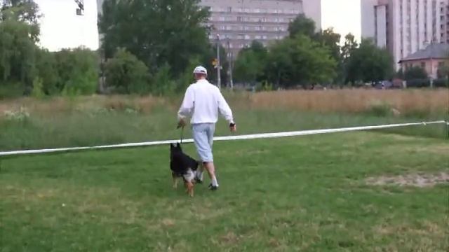 ringovka 085.avi смотреть онлайн