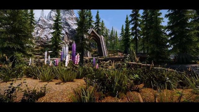 5 Kleine Mods Mit Großer Wirkung | Skyrim Immersive Mods