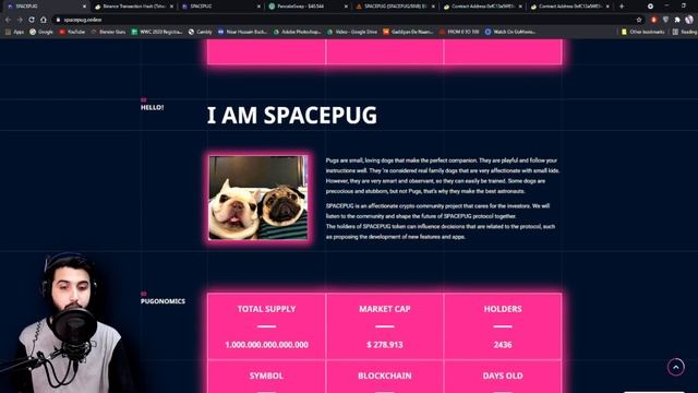 Spacepug - The next DeFi gem with 1000X potential смотреть онлайн
