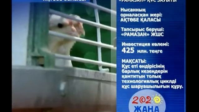 Расширение мощности птицефабрики смотреть онлайн