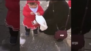 Отобрала хлеб у голубя