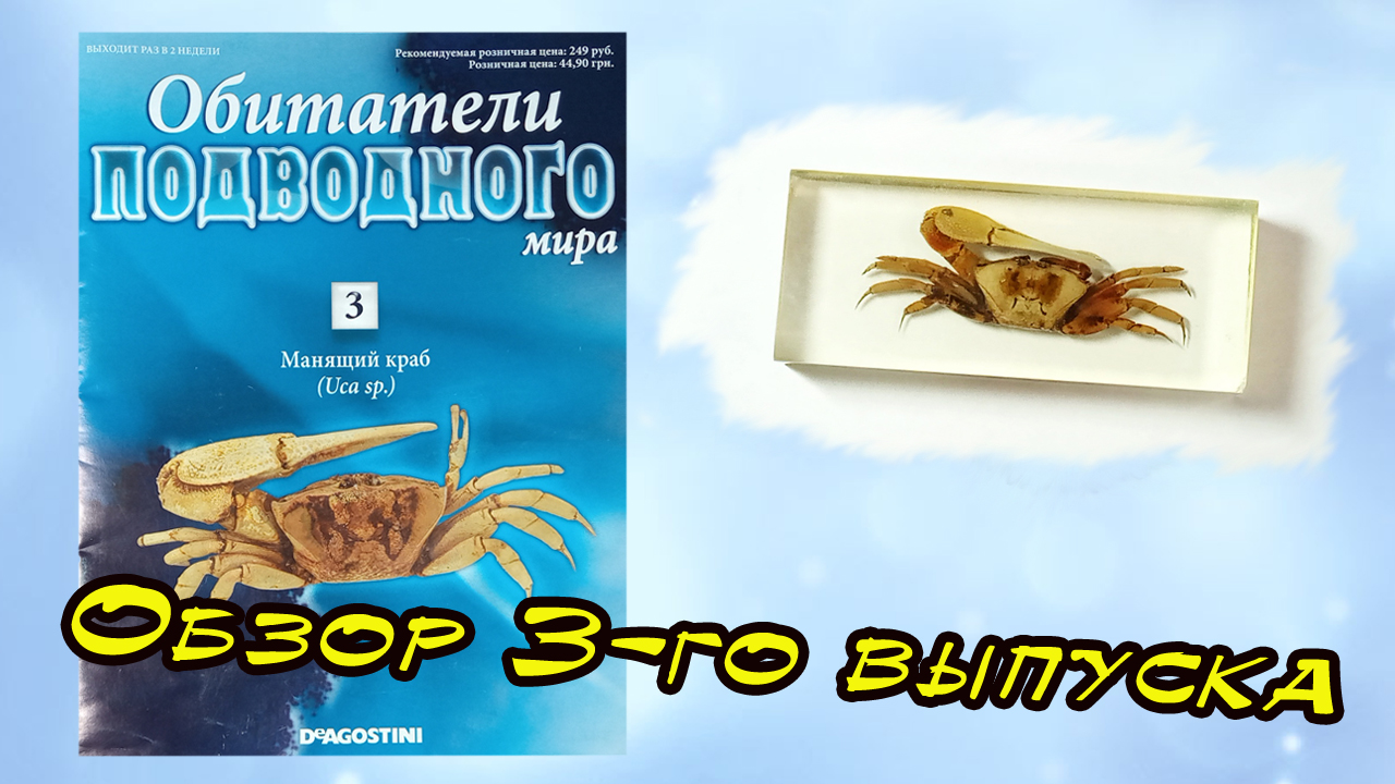 Обитатели подводного мира | 3 выпуск | DeAgostini смотреть онлайн