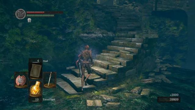 Dark Souls - Darkroot Garden, easy win from enemy NPC's смотреть онлайн