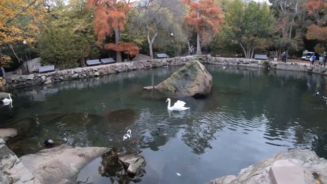 Алупка УДИВЛЯЕТ своей красотой. Воронцовский дворец и парк. Крым 2020 смотреть онлайн