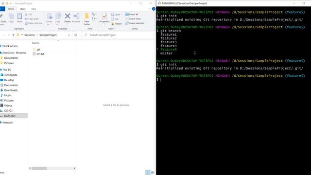 Can We Initialize Git Repository Twice? | Git Init & .git Folder - 2 Important Conceptual Questions смотреть онлайн