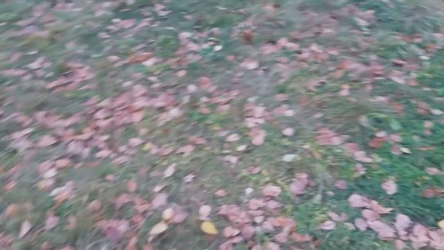 ПРЕРВАННЫЙ? АКТ'2 смотреть онлайн