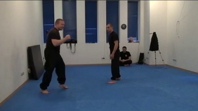 Элементы боя по школе "Тигр-Дракон" от Сергиенко В.В. смотреть онлайн