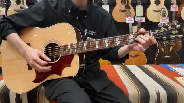 Hummingbird Studio Rosewood 【ローズウッド】【48回払い無金利】 смотреть онлайн