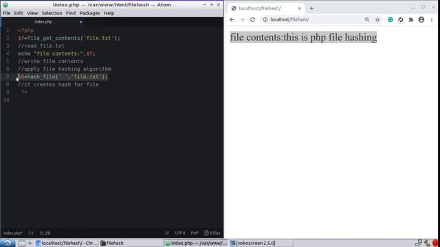 coding file hashing using fnv132,fnv1a32,fnv164,fnv1a64 algorithm |file hashing algorithms|PHP has смотреть онлайн