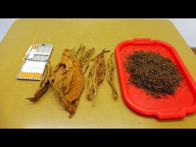 Табаководство, Зелень в листе, ответы на ваши вопросы. смотреть онлайн