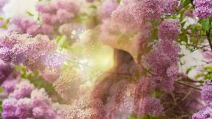 ЛЮДМИЛА ЯКУШЕВА-ГОЛУБЕВА "МЫ ЧУЖИЕ "