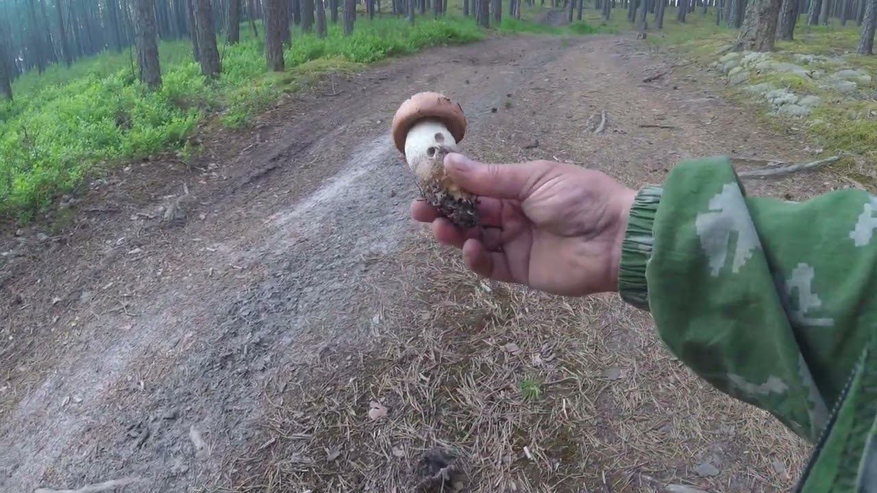 GOPR1427 смотреть онлайн