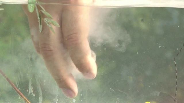 Фидерная паста МАКУХА и ХАЛВА смотреть онлайн