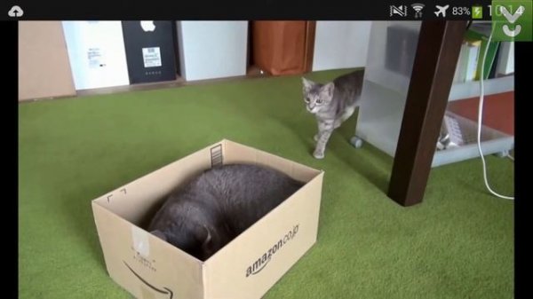 MP4 HD Flv Video Player - Play video on Android in HD - Download Video Previews