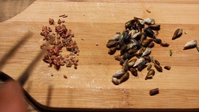 Чем питается рябчик осенью. С рыбалки на охоту. смотреть онлайн