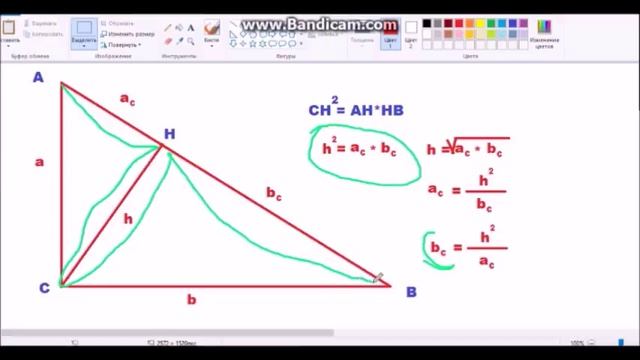Пропорциональные отрезки в прямоугольном треугольнике, или теорема цветочек, геометрия 8 кл. смотреть онлайн