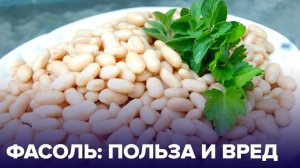 Чем полезна ФАСОЛЬ и кому нужно есть этот продукт?