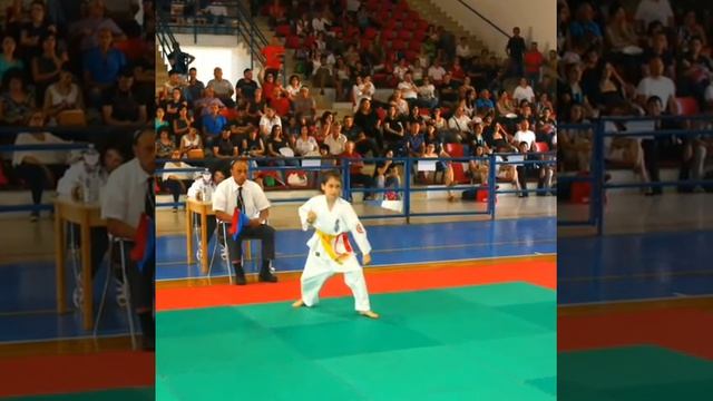Kyokushinkai
ITALIA Campionato Reg. Kata Comiso 11/06/2017
Grandi risultati dei ragazzi del Dojo смотреть онлайн