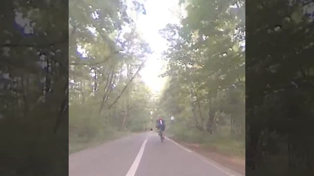 Хочу Dualtron LTD, а и на стареньком Speedway, можно прокатиться неплохо... смотреть онлайн