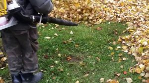 Опрыскиватель бензиновый Champion PS257