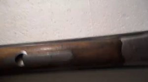 Мой обзор ружья Зауер