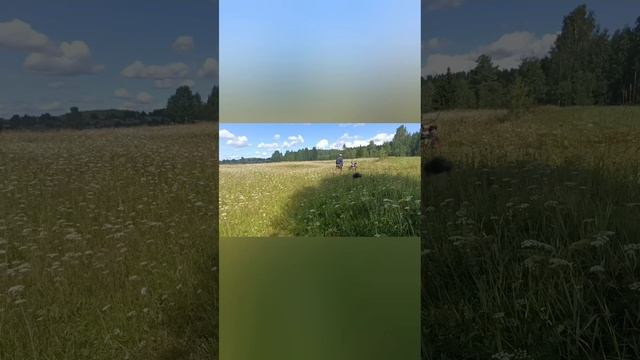 косим мотоблоком Угра смотреть онлайн