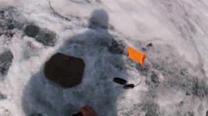 Ловля щуки по последнему льду весной