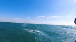 Виндсерфинг Заозерное, Евпатория видеоотчет 4К