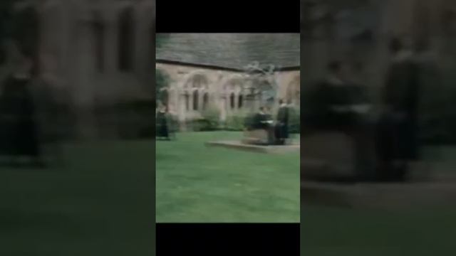 HUFFLEPUFF:THE STONER HOUSE? #comedy #hufflepuff #harrypotter ##hufflepuffhouse #hogwartslegacy смотреть онлайн